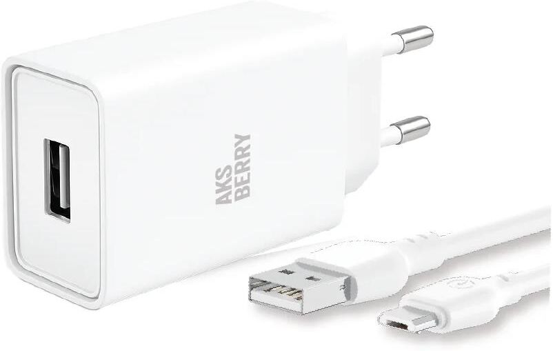 СЗУ AKSBERRY (6900221570013) T40 1USB 24A + MicroUSB (белый)