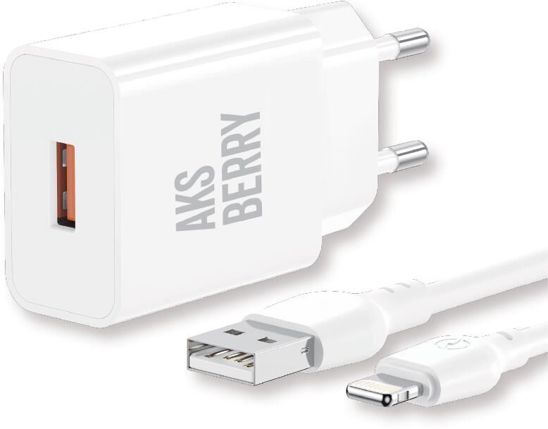 СЗУ AKSBERRY (6972969383064) T42 QC30 + кабель (белый)