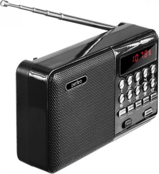 Радиоприемник PERFEO (PF-A4870) PALM черный