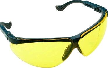 CHAMPION C1006