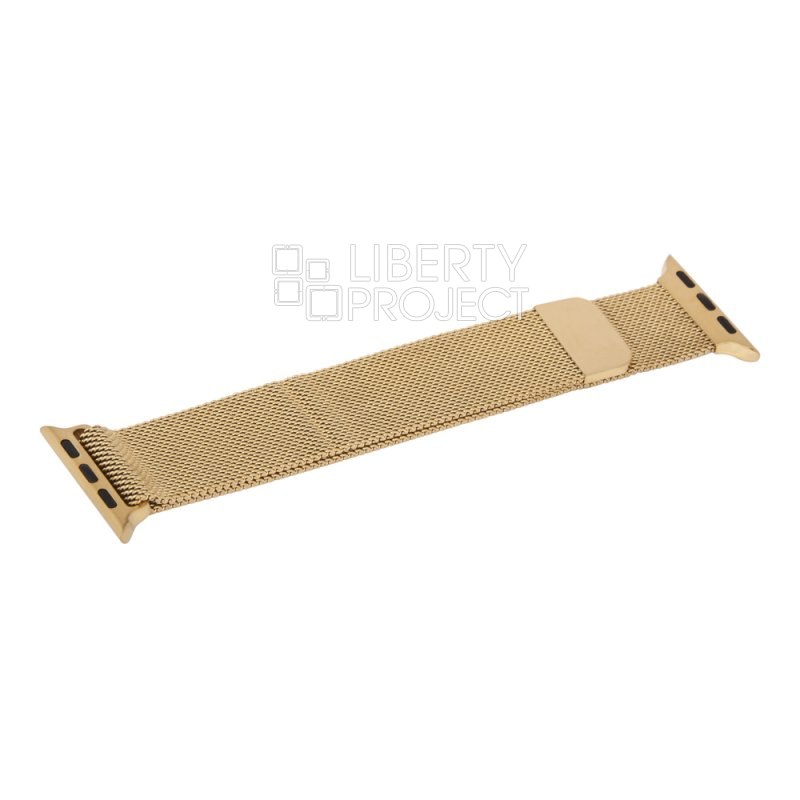 Ремешок для Apple Watch COTEetCI W6 Magnet Watchband 38 мм/40 мм магнитный металл (золото)