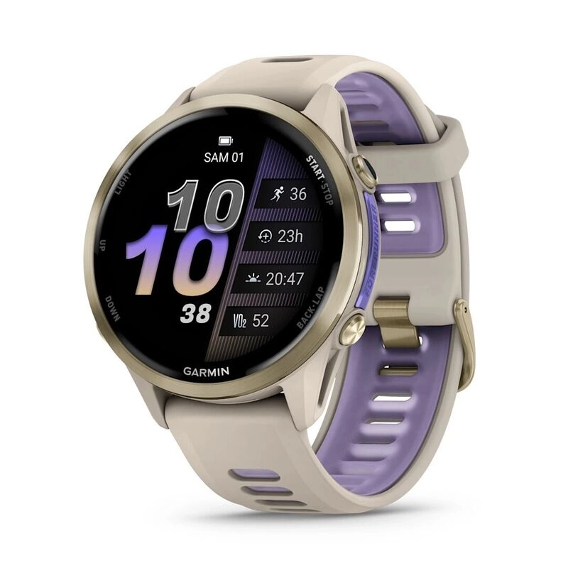 Умные часы Умные часы Garmin Forerunner 970 AMOLED (010-02969-02) золотистый с серым ремешком