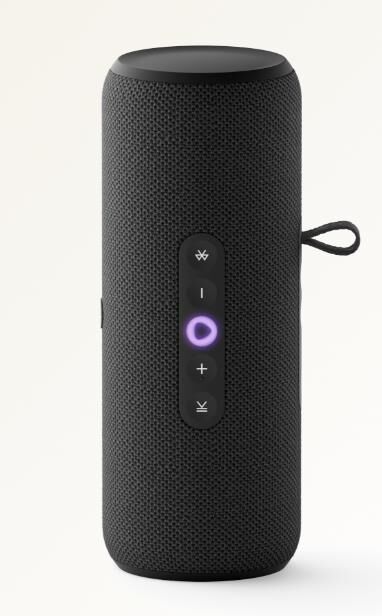 Умная колонка ЯНДЕКС YNDX-00030BLK Станция Стрит с Алисой, модель (черный)