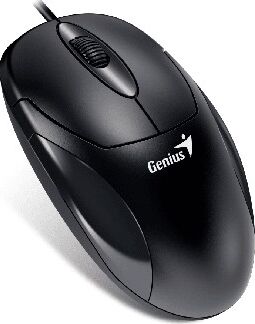 Мышь GENIUS (31010233100) XScroll V3 черный