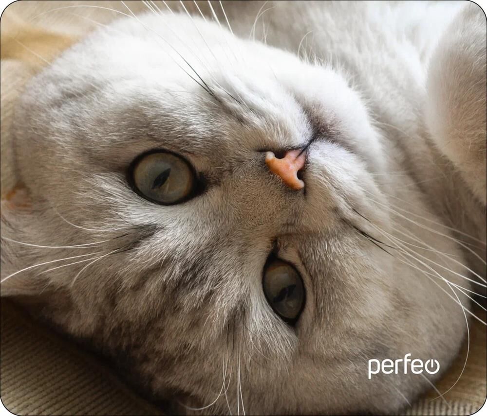 Коврик для компьютерной мыши PERFEO (PF_D0654) "Cat"
