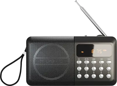 Радиоприемник SOUNDMAX SM-RD2116 чёрный