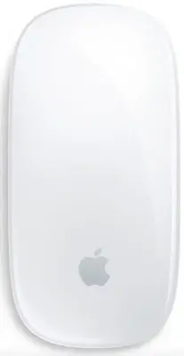 Беспроводная мышь Apple Magic Mouse Type-C (MXK53CH/A) белая