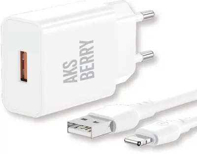 СЗУ AKSBERRY (6972969383064) T42 QC30 + кабель (белый)