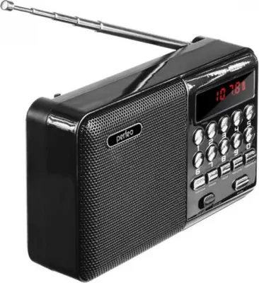 Радиоприемник PERFEO (PF-A4870) PALM черный