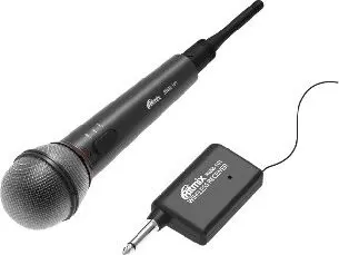 Микрофон RITMIX RWM-101 черный