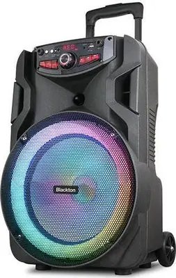 Портативная аудиосистема BLACKTON Bt PBS2113 черный