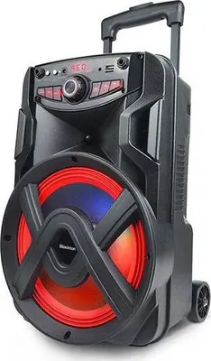 Портативная аудиосистема BLACKTON Bt PBS2111 черный