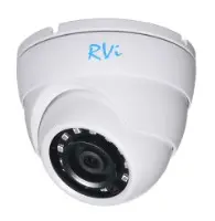 RVi-1NCE2120 (3.6) white видеокамера IP шар в стакане