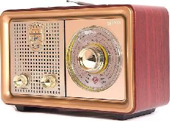 Радиоприемник БЗРП РП-324BT УКВ 64-108МГц, бат. 2*R20, 220V, USB/microSD/AUX, лупа