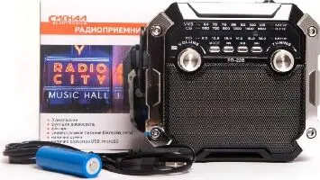 Радиоприемник СИГНАЛ РП-228 УКВ 64-108МГц, 220V, акб 1200mA/h, USB/microSD/AUX, светодиодный фонарь/дискосвет