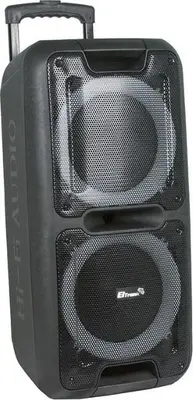 Акустика портативная ELTRONIC (20-14) DANCE BOX 300 - колонка 10